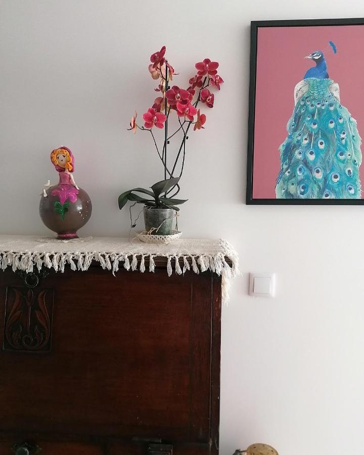Lilac Homestay 塞图巴尔 外观 照片